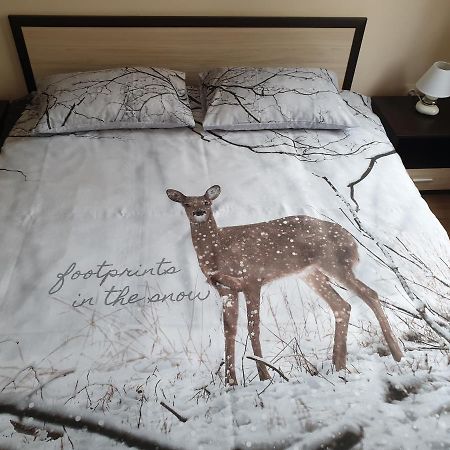 Cosy Apartment - City Centre Błagojewgrad Zewnętrze zdjęcie