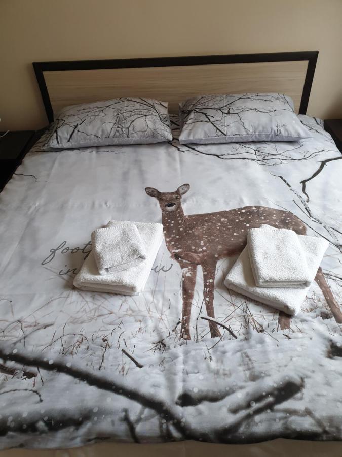 Cosy Apartment - City Centre Błagojewgrad Zewnętrze zdjęcie
