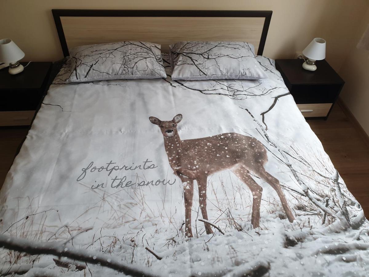 Cosy Apartment - City Centre Błagojewgrad Zewnętrze zdjęcie